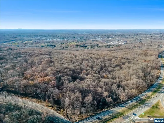 a view of dirt yard with large trees