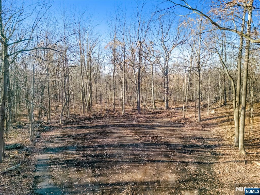 6 Old Farm Way Alpine, NJ 07620 - Photo 8 of 12 a view of a yard with trees