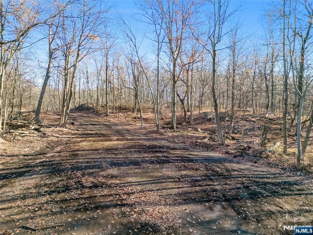 6 Old Farm Way Alpine, NJ 07620 - Photo 8 of 23 a view of dirt yard with large trees