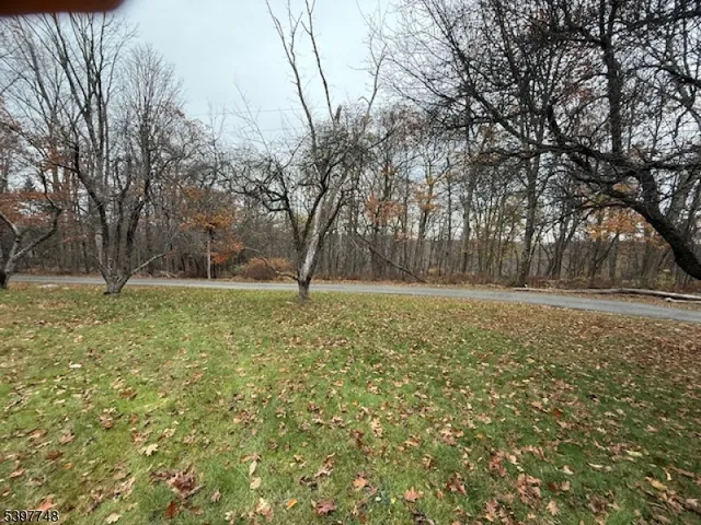 a view of outdoor space with deck and trees