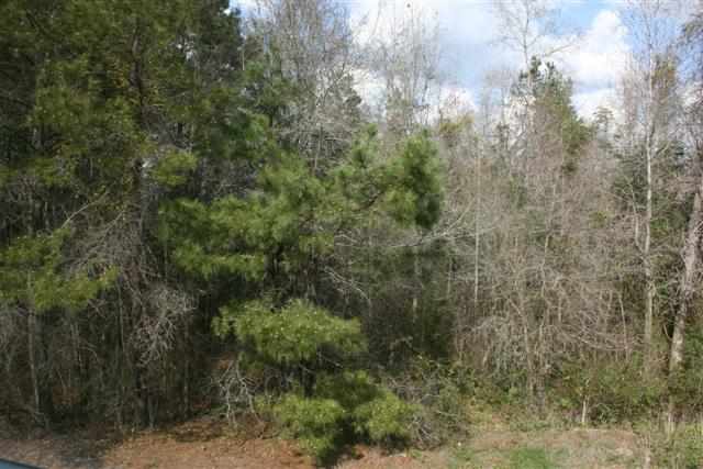 240 Winding Path Drive Loris, SC 29569 - Photo 12 of 14 Gallery Image 12
