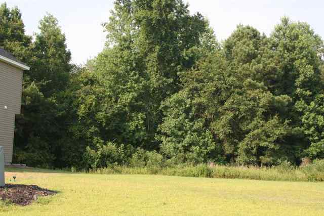 240 Winding Path Drive Loris, SC 29569 - Photo 13 of 14 Gallery Image 13
