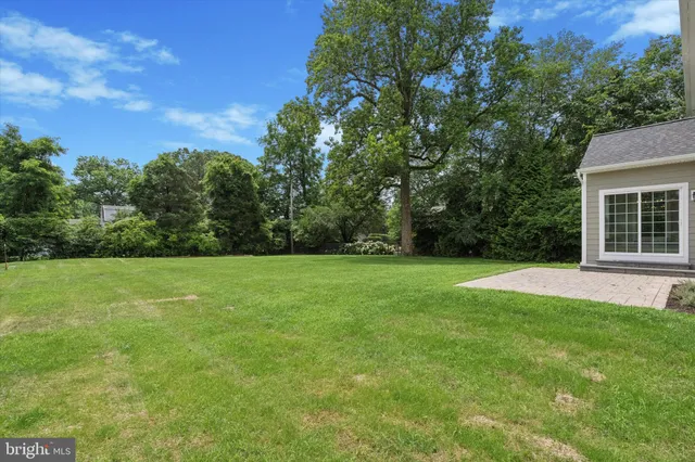 a view of yard with green space