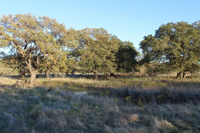 a view of mountain with trees in background