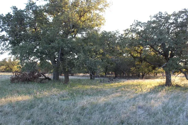 a view of outdoor space with trees all around