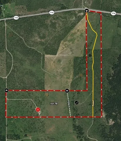 a view of a flower garden