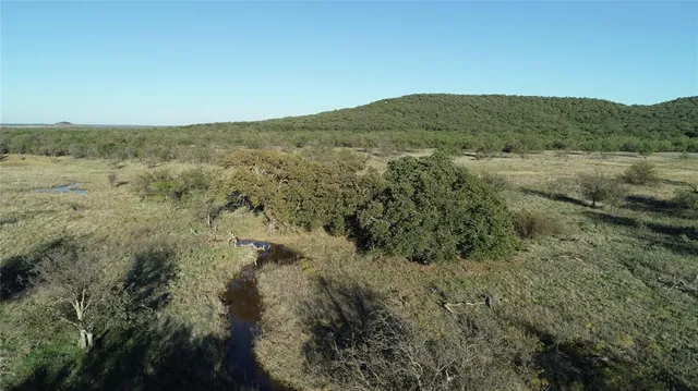 a view of a mountain in the distance in a field
