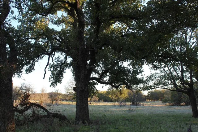 a view of mountain view with lots of trees