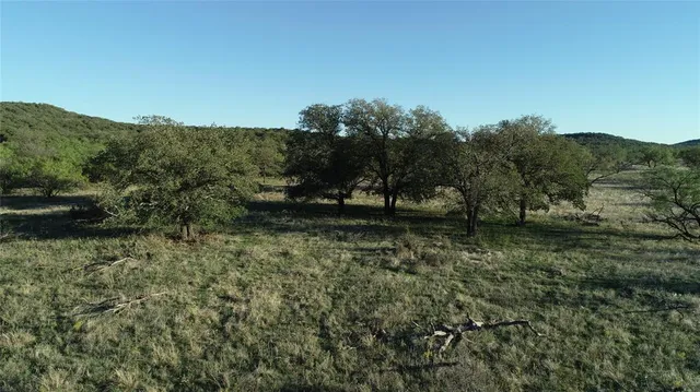 a view of a lush green field