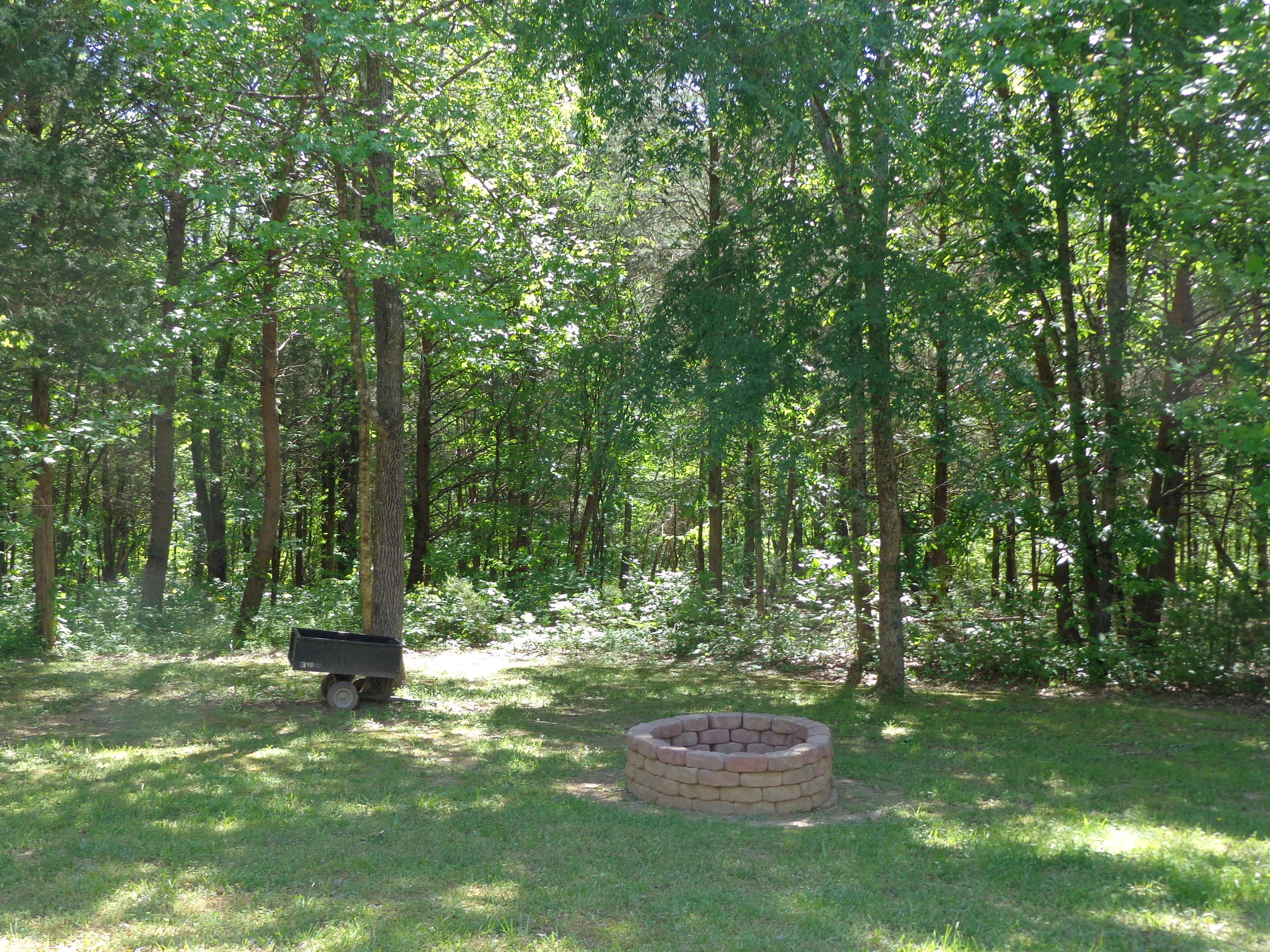 3218 Hillside Road Baneberry, TN 37890 - Photo 29 of 40 updated outside photos 5-3-17 (11)