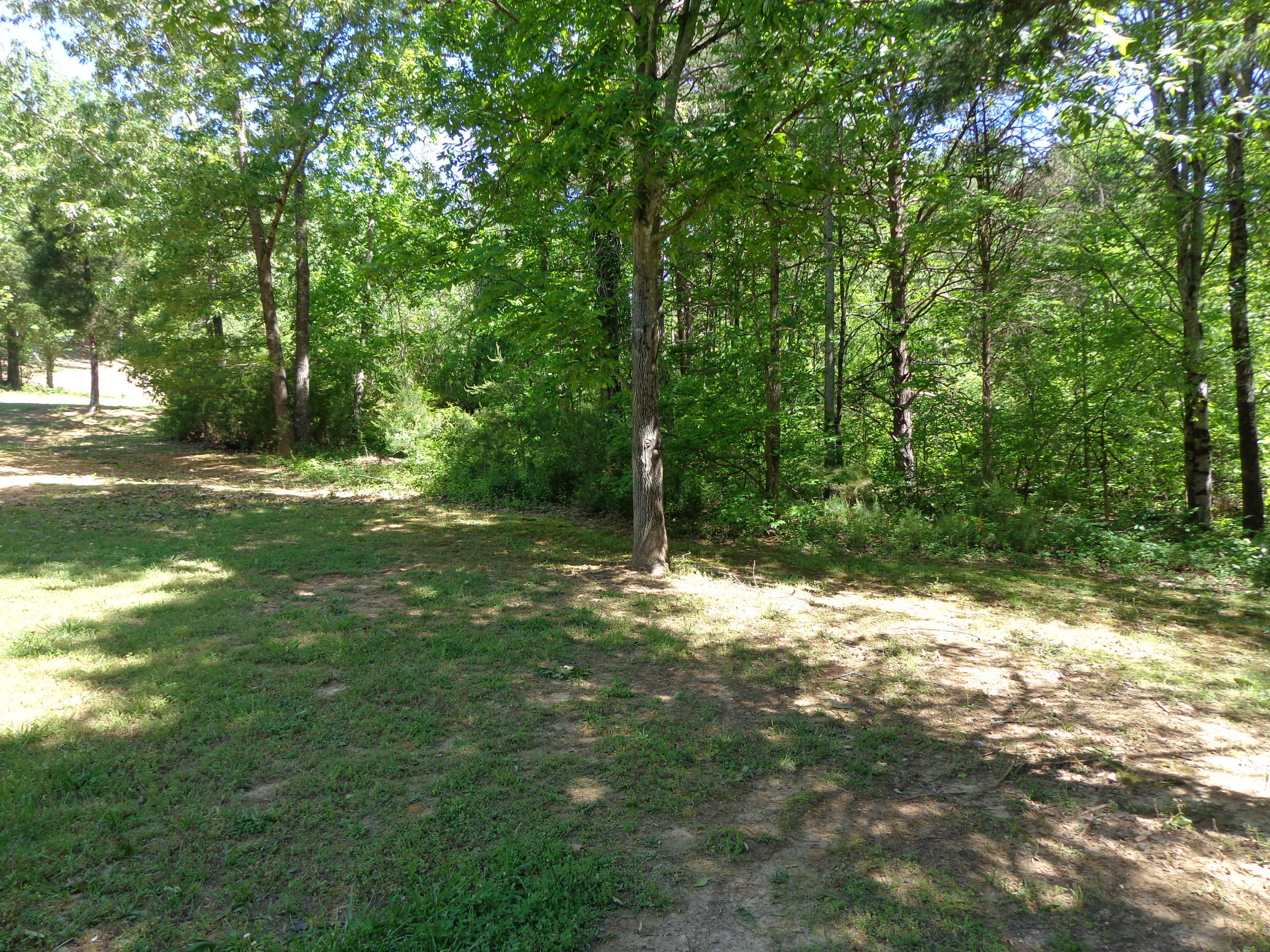 3218 Hillside Road Baneberry, TN 37890 - Photo 38 of 40 updated outside photos 5-3-17 (14)