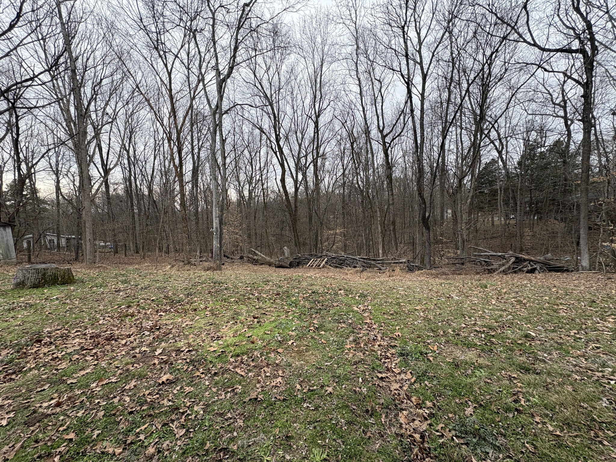 1546 Bobby Road Clarksville, TN 37040 - Photo 20 of 21 a view of a backyard