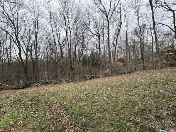 a backyard of a house with trees