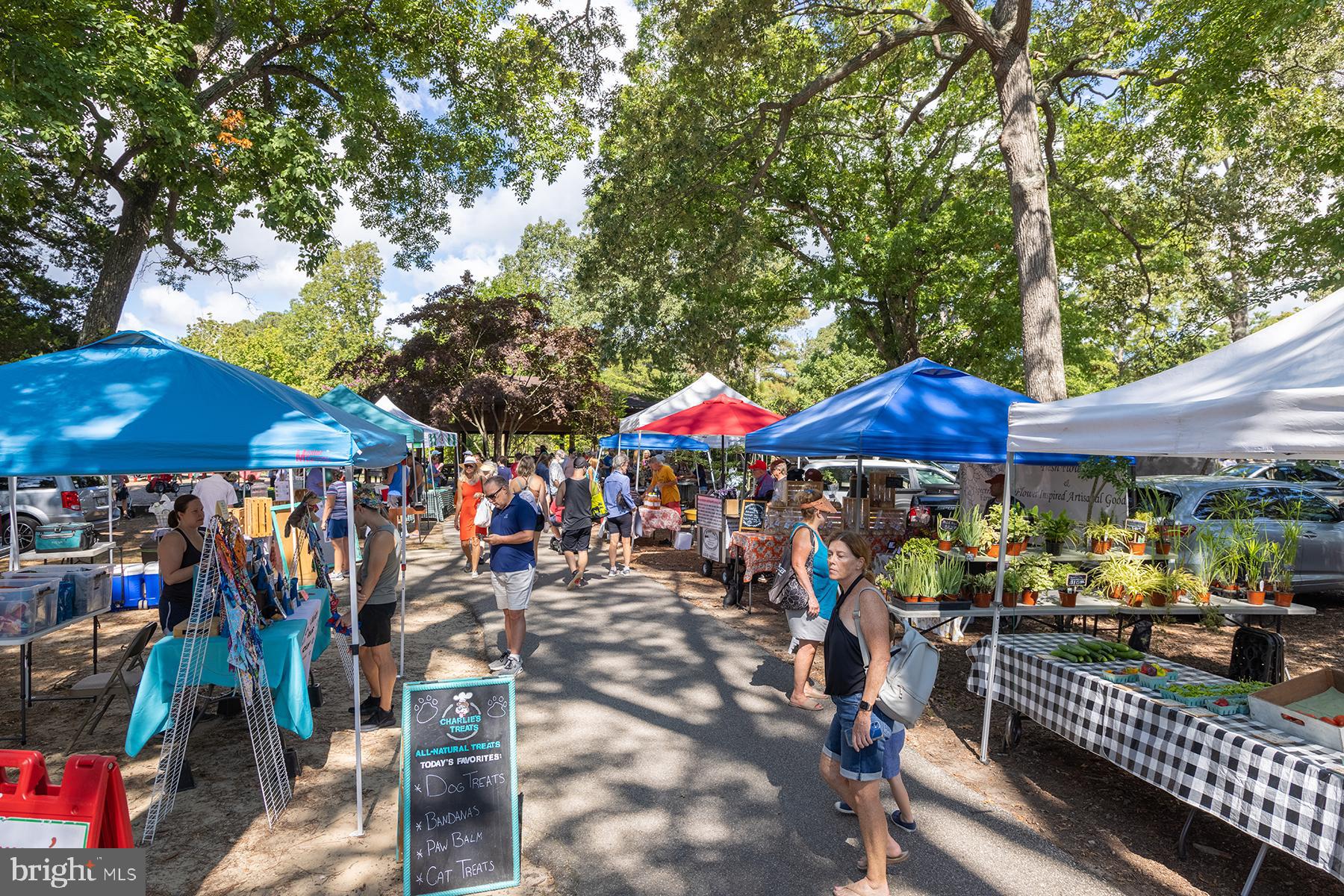 24 Blackpool Road Rehoboth Beach, DE 19971 - Photo 58 of 78 Farmers market in season