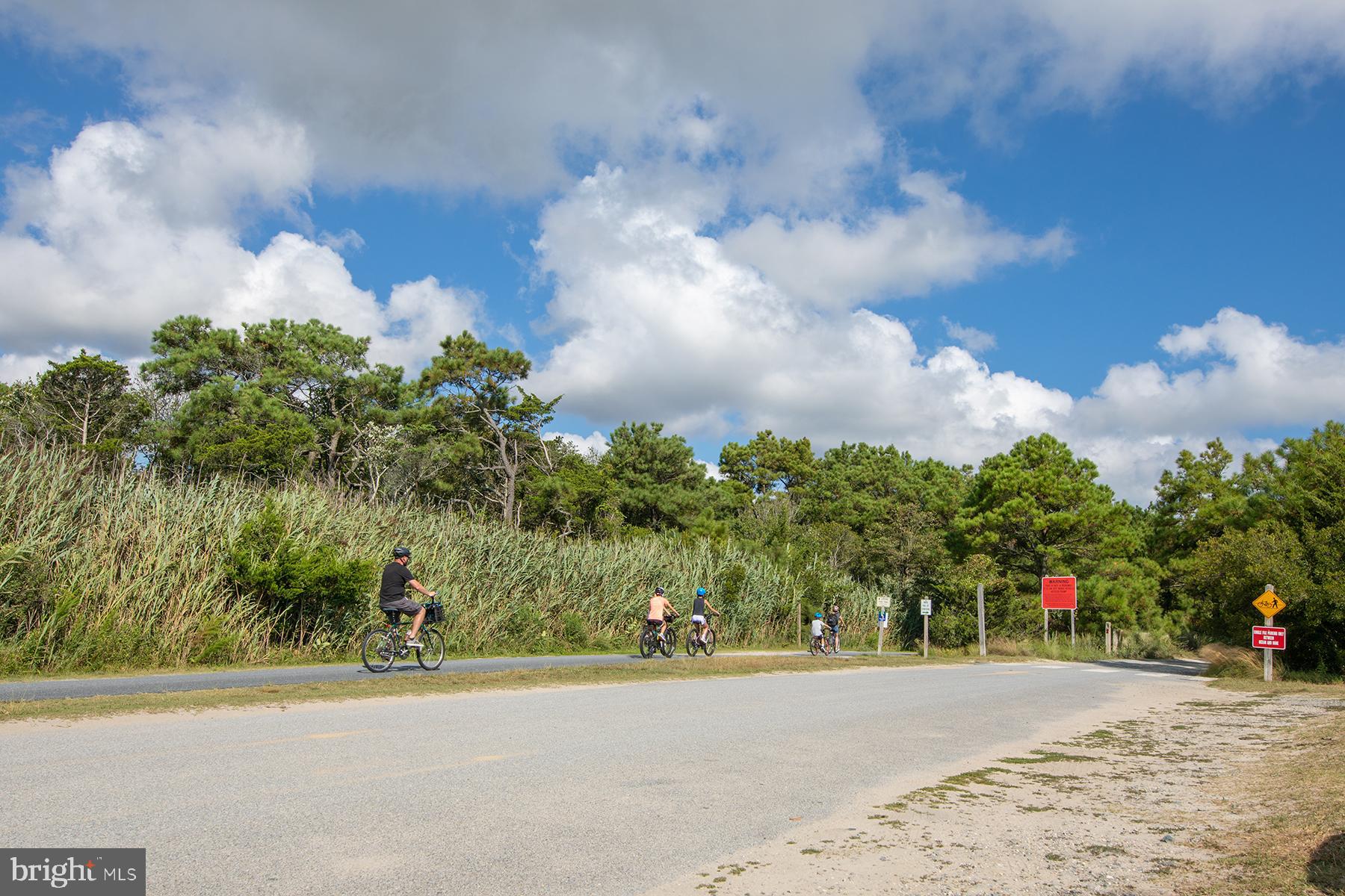 24 Blackpool Road Rehoboth Beach, DE 19971 - Photo 68 of 78 Trails