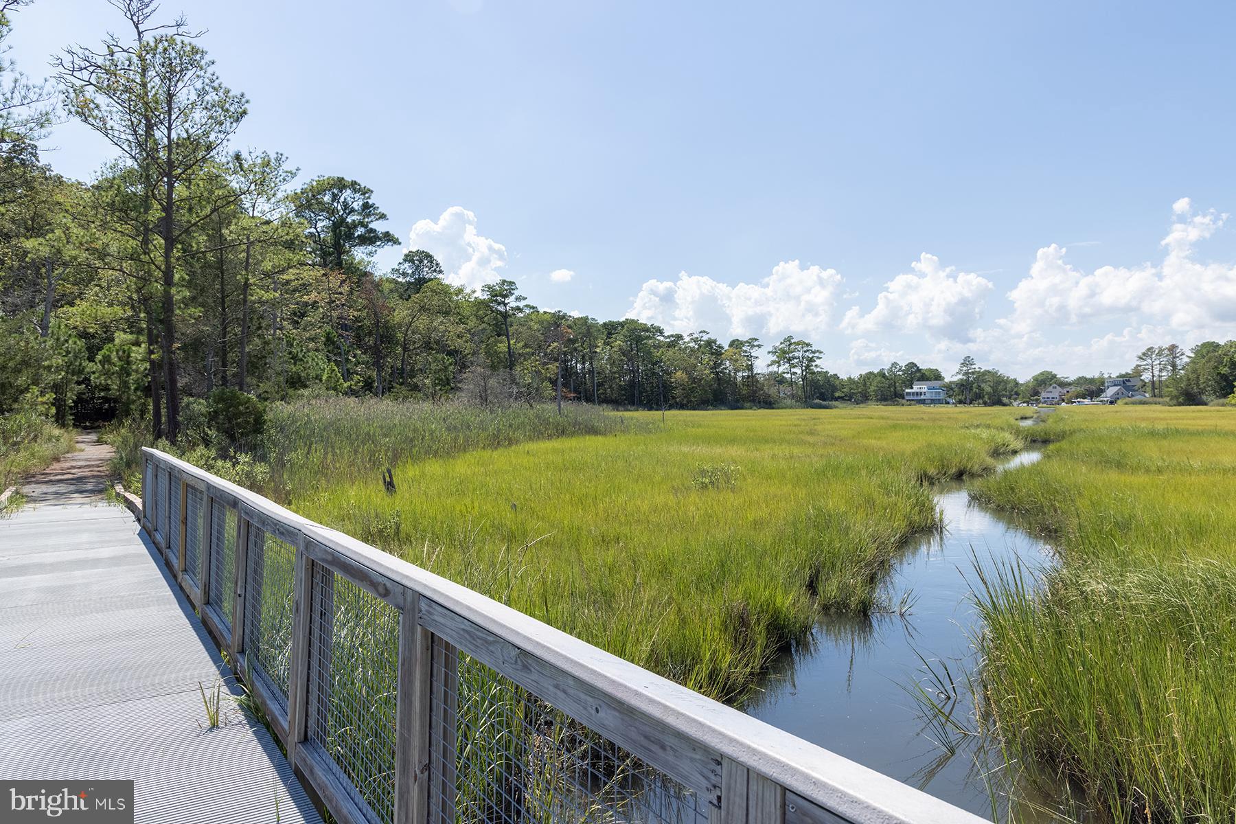 24 Blackpool Road Rehoboth Beach, DE 19971 - Photo 72 of 78 Walking and Biking Trails