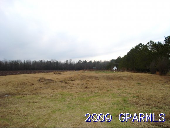 252 Mike Stocks Road Hookerton, NC 28538 - Photo 1 of 1 Primary Photo