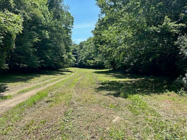 0 Mt Tussell Road Knifley, KY 42753 - Photo 11 of 46 Gallery Image 11