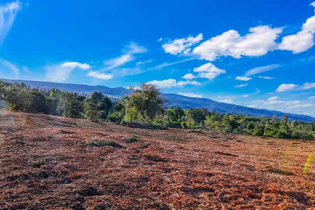 a view of a road with a yard