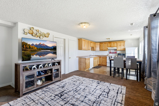 213 North Geneva Road Provo, UT 84601 - Photo 5 of 27
