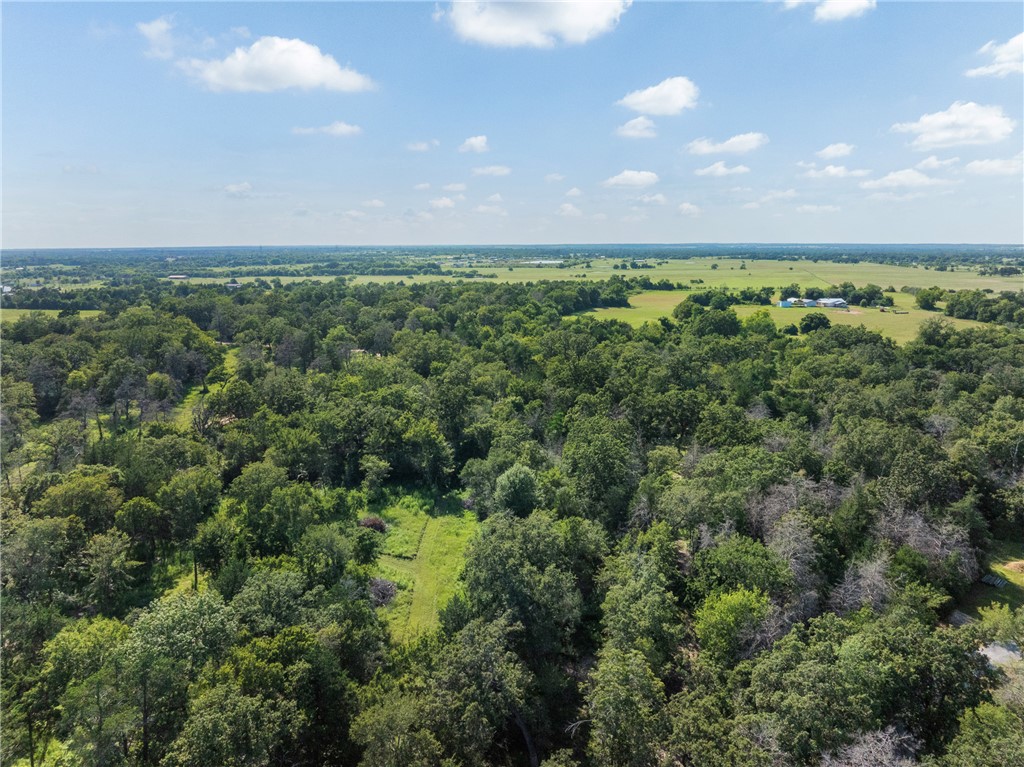 16135 Wilson Pasture Road Bryan, TX 77808 - Photo 28 of 29