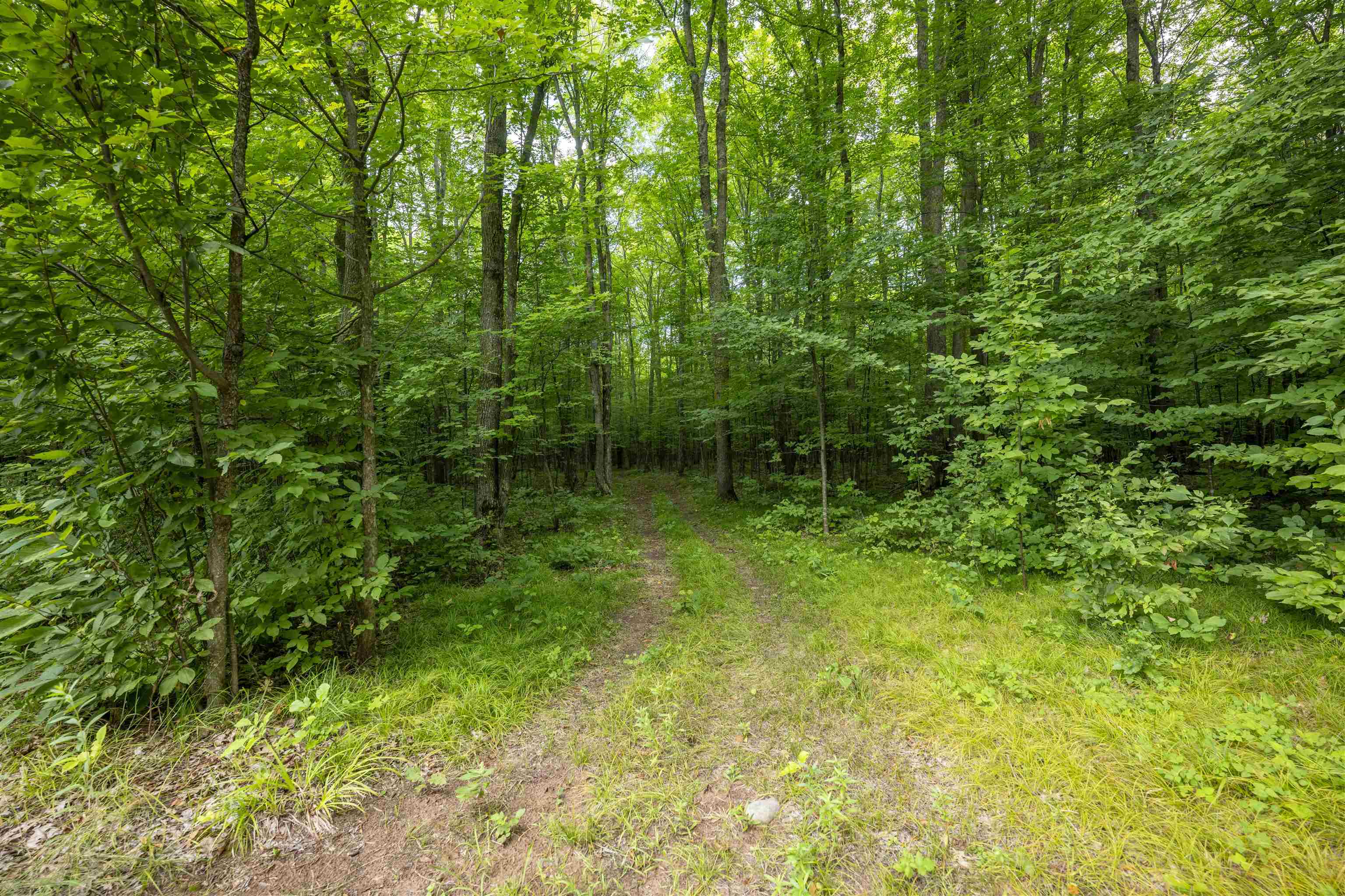 39280 Kleinsteiber Road High Bridge, WI 54846 - Photo 17 of 26