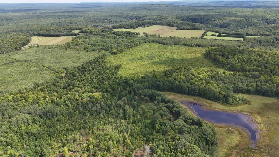39280 Kleinsteiber Road High Bridge, WI 54846 - Photo 22 of 26 View to the East