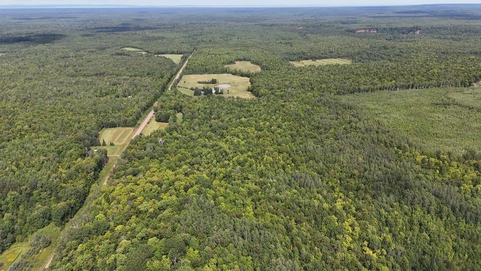 39280 Kleinsteiber Road High Bridge, WI 54846 - Photo 23 of 26 View to the North