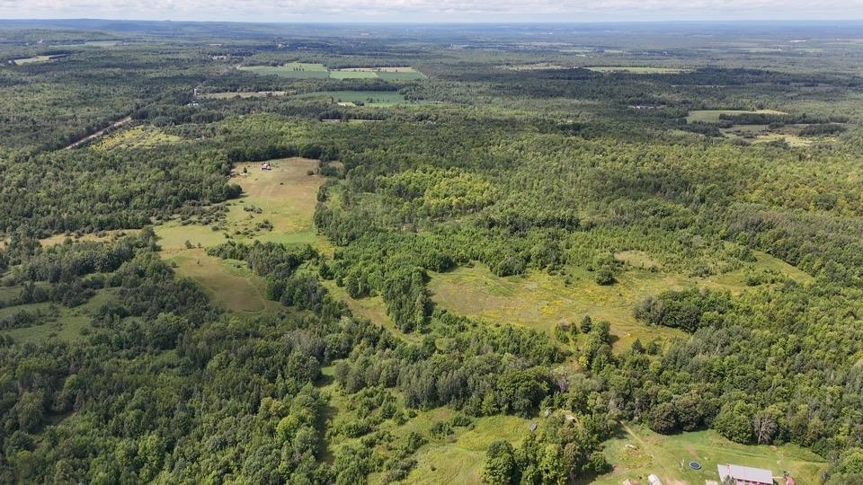 39280 Kleinsteiber Road High Bridge, WI 54846 - Photo 24 of 26 View to the West