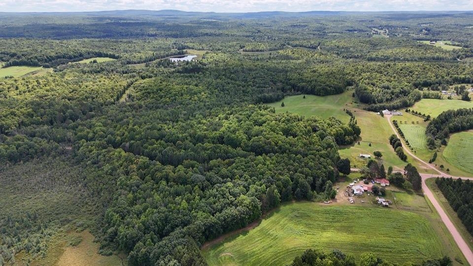 39280 Kleinsteiber Road High Bridge, WI 54846 - Photo 25 of 26 View to the South