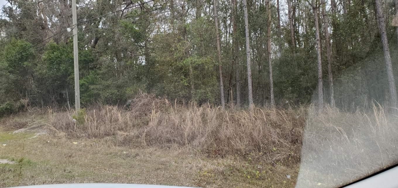 0 Foley Cutoff Road Perry, FL 32347 - Photo 1 of 1 Gallery Image 1