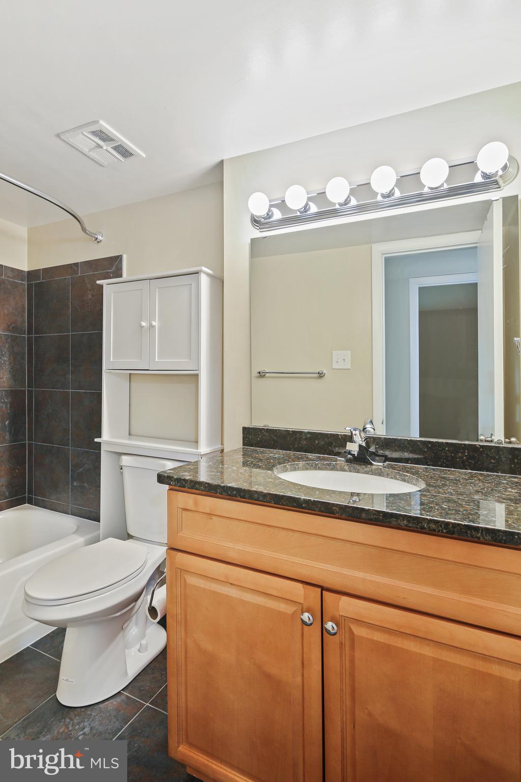 5239 West Running Brook Road, Unit 301 Columbia, MD 21044 - Photo 17 of 33 a bathroom with a sink a toilet and shower