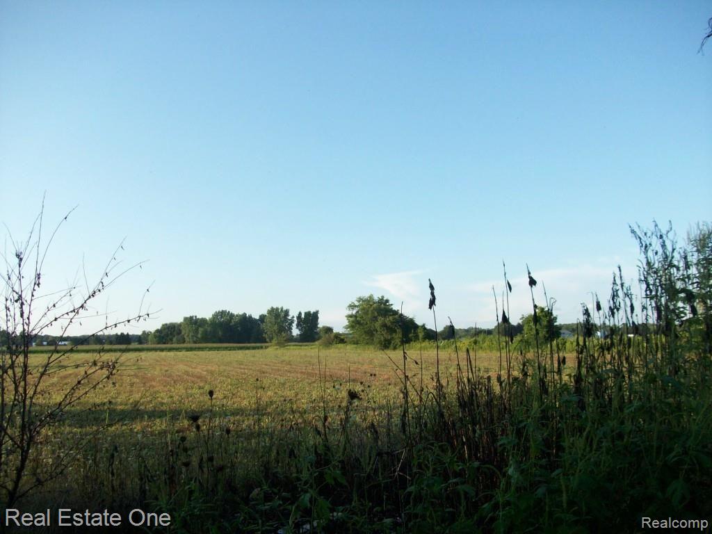 4944 Ohara Road Carleton, MI 48117 - Photo 43 of 48 Ohara 071.jpg