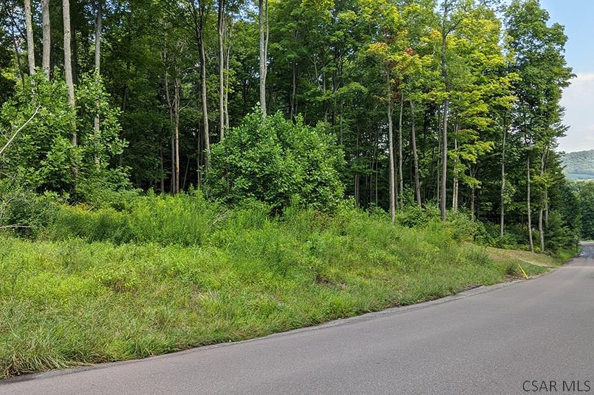 Ridge Road Rockwood, PA 15557 - Photo 19 of 22