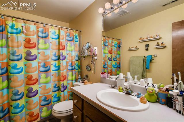 4305 Mallow Road Colorado Springs, CO 80907 - Photo 8 of 19