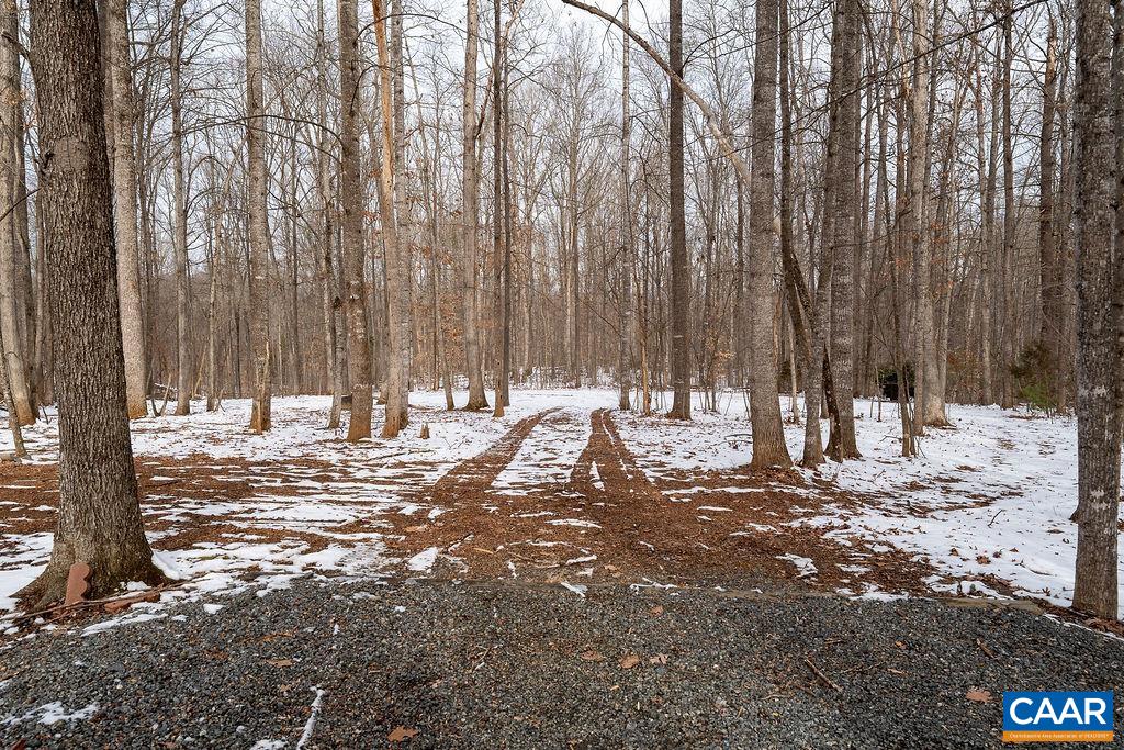 1425 Jacks Shop Road Rochelle, VA 22738 - Photo 56 of 66 a view of outdoor space with trees