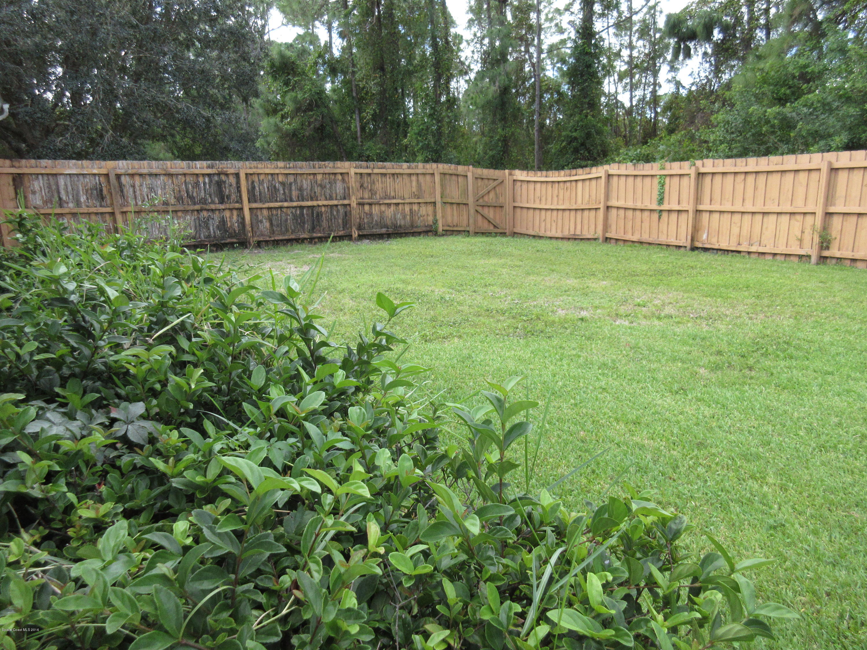 1237 Gerrity Street Southwest Palm Bay, FL 32908 - Photo 59 of 61 IMG_2846