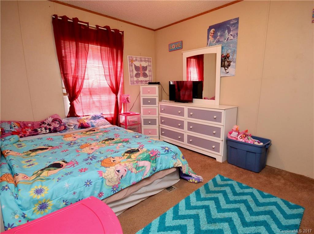 130 Lower Edgewood Road Candler, NC 28715 - Photo 9 of 24 Gallery Image 9