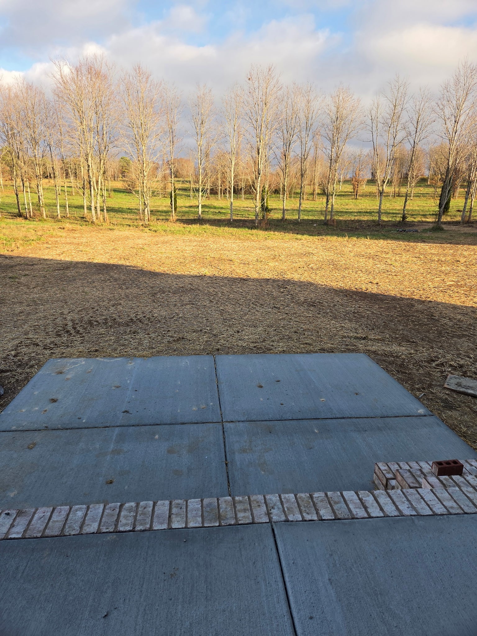 2233 County House Road Smithville, TN 37166 - Photo 2 of 2