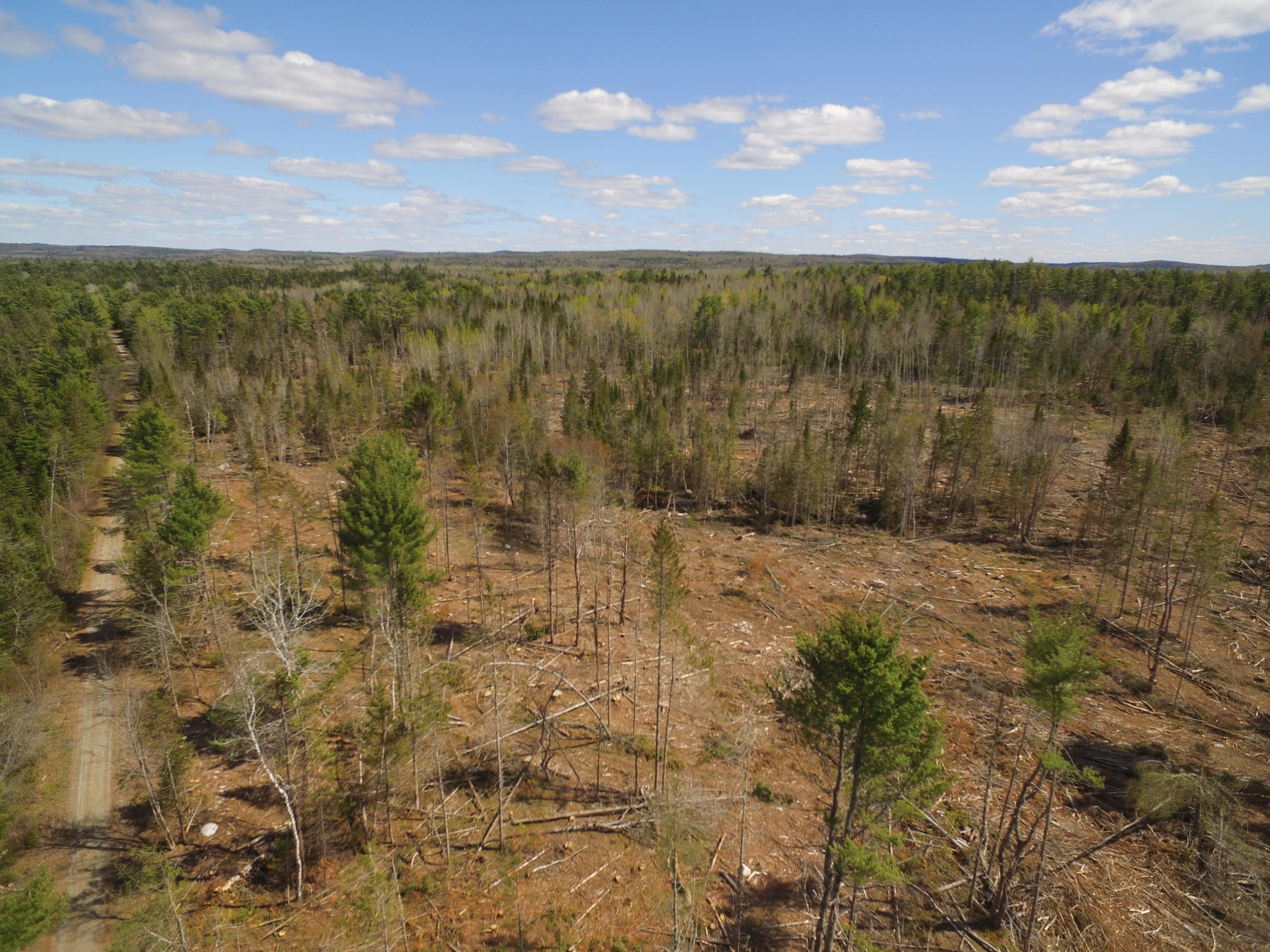 Lot 14 Off Old Winn Road Springfield, ME 04487 - Photo 2 of 13 DJI_0273
