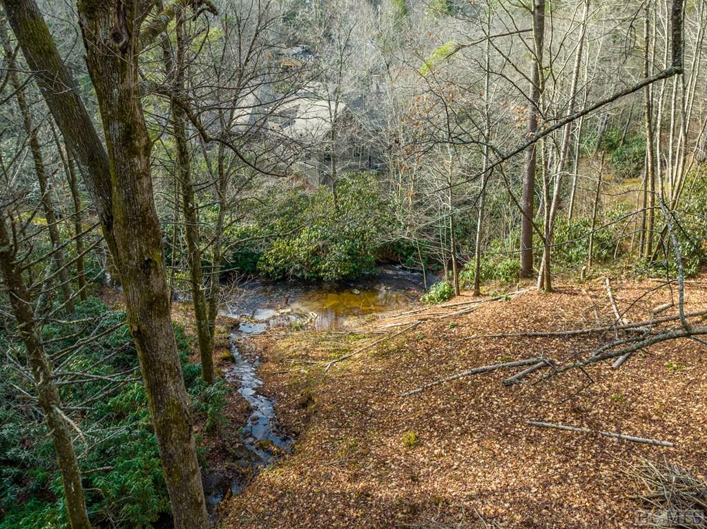 188 Foreman Road Highlands, NC 28741 - Photo 20 of 38 Gallery Image 20