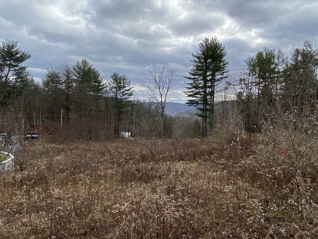 44 Wilson Hill Road Colrain, MA 01340 - Photo 3 of 9 Gallery Image 3