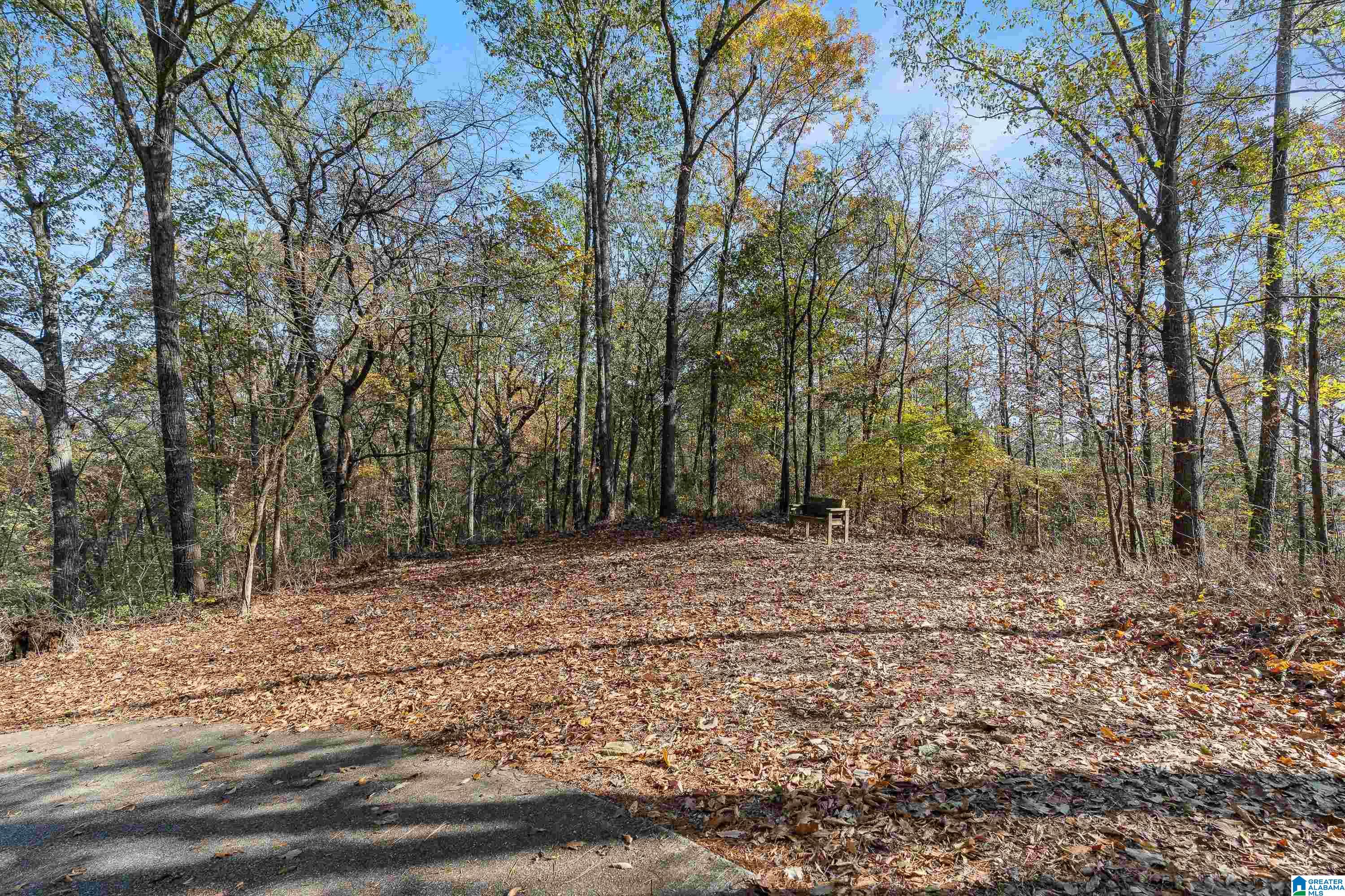 600 Honeysuckle Lane Springville, AL 35146 - Photo 59 of 77