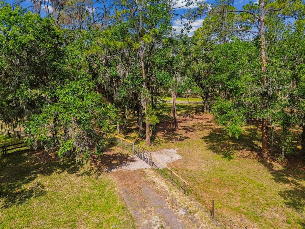 2853 Saffold Road Wimauma, FL 33598 - Photo 57 of 62 a view of a yard with plants and large trees