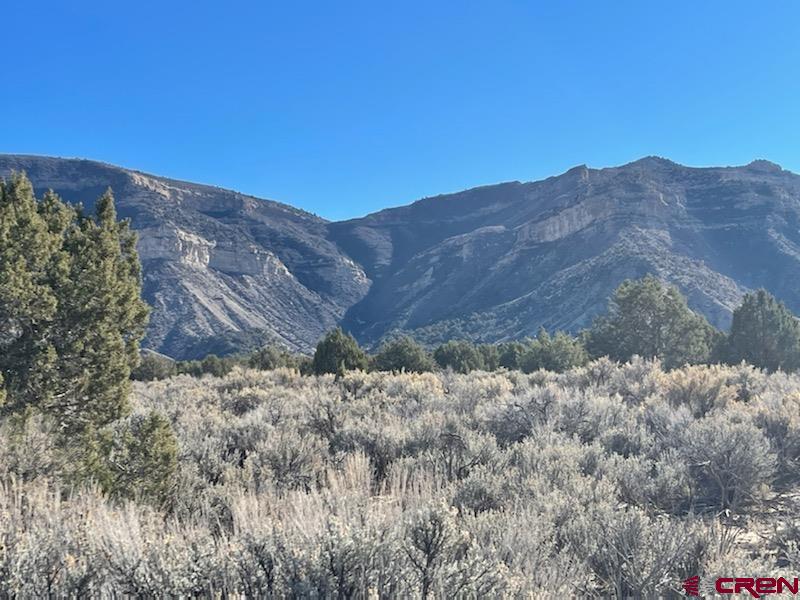 Tbd Rd East Cortez, CO 81321 - Photo 1 of 14 Gallery Image 1