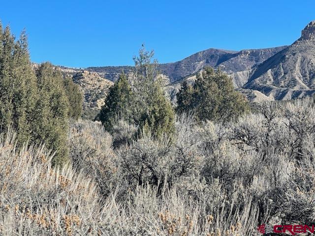 Tbd Rd East Cortez, CO 81321 - Photo 2 of 14 Gallery Image 2