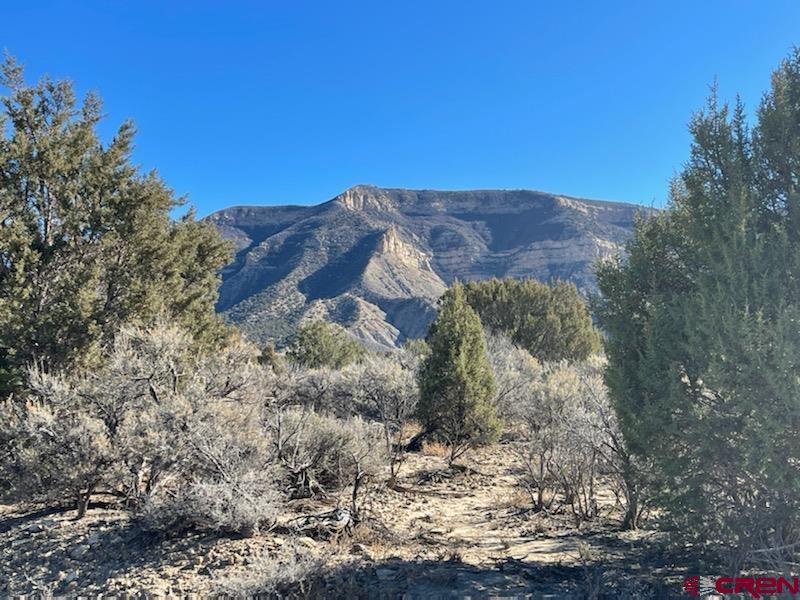 Tbd Rd East Cortez, CO 81321 - Photo 3 of 14 Gallery Image 3