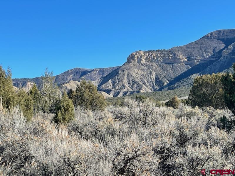 Tbd Rd East Cortez, CO 81321 - Photo 4 of 14 Gallery Image 4