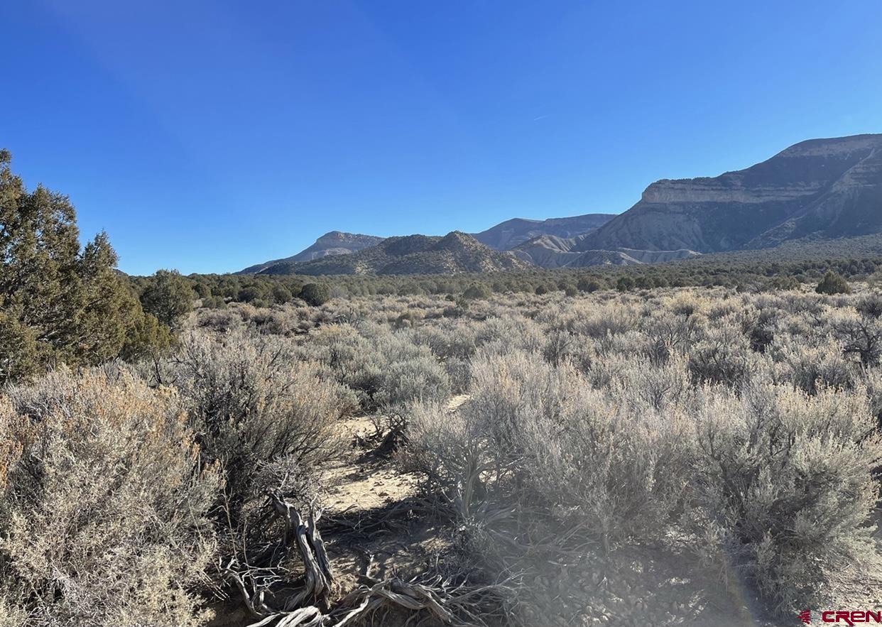 Tbd Rd East Cortez, CO 81321 - Photo 5 of 14 Gallery Image 5