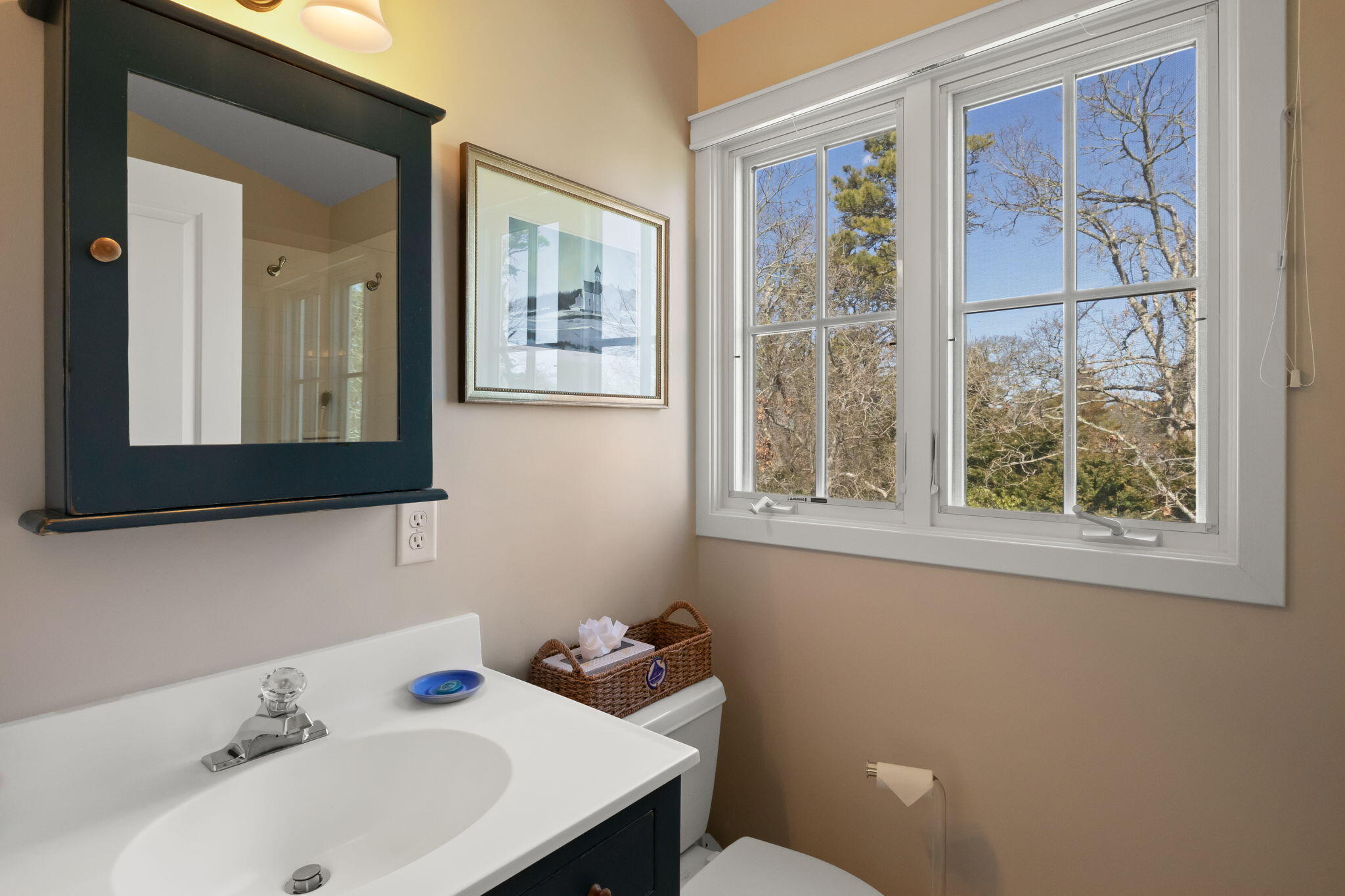 32 Cranberry Lane North Chatham, MA 02650 - Photo 20 of 39 39-web-or-mls-32-cranberry-ln